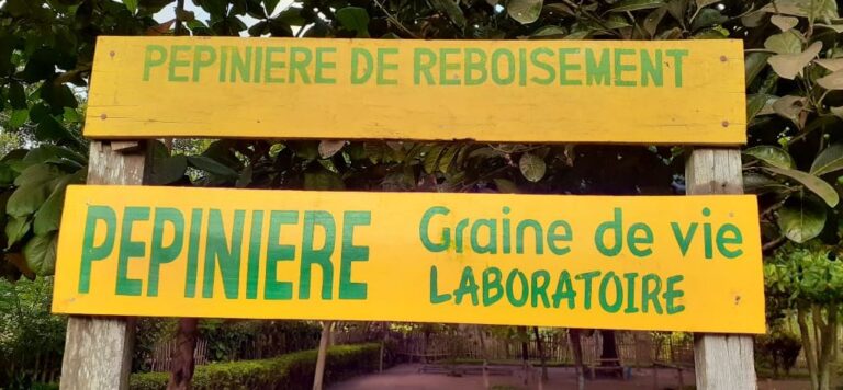 Pepiniere de reboisement Laboratoire