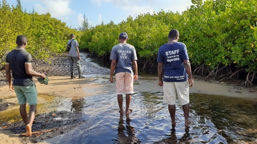 Conservation Mangrove