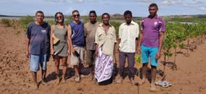 Conservation et reboisement de la mangrove