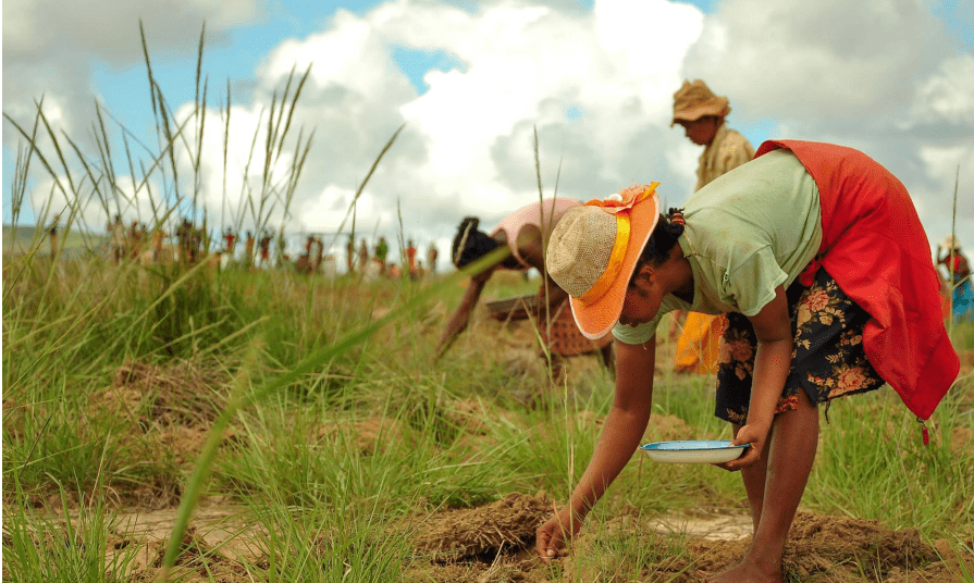 Graine de vie Time to Plant