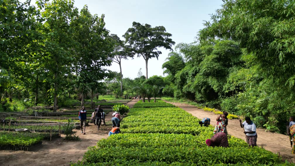 Graine de vie Time to Plant